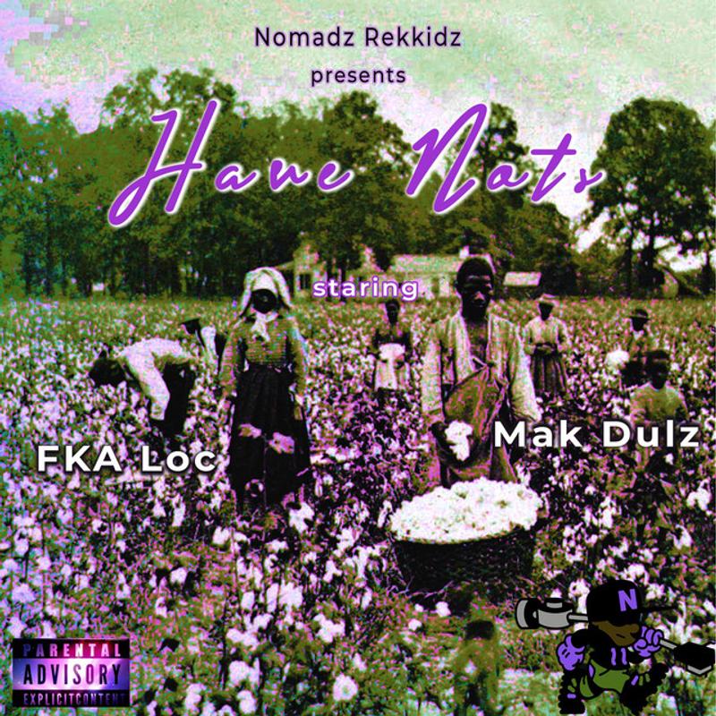 Have Nots cover art